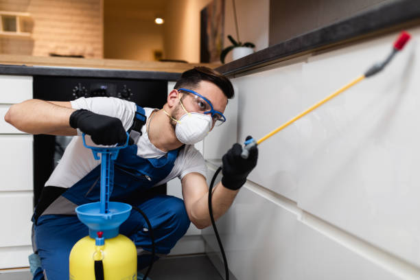 Best Affordable Pest Control Services  in Delmont, PA