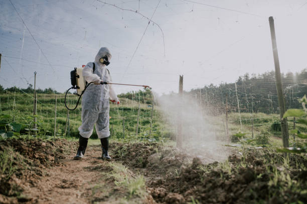 Best Termite Control Services  in Delmont, PA