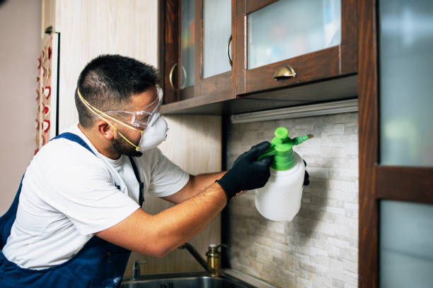 Pest Prevention Services in Delmont, PA