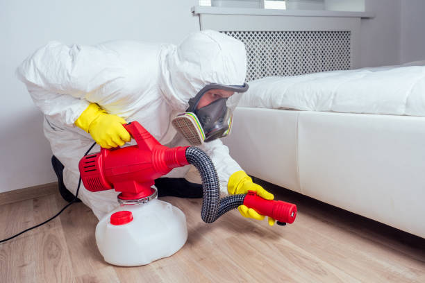 Best Flea Control Services  in Delmont, PA