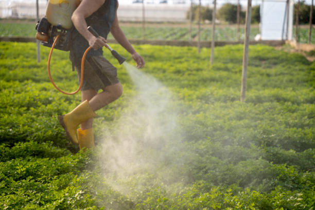 Best Commercial Pest Control Services  in Delmont, PA