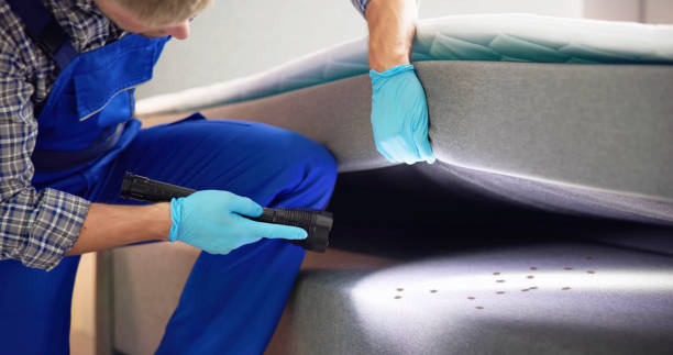 Best Local Pest Control Services  in Delmont, PA