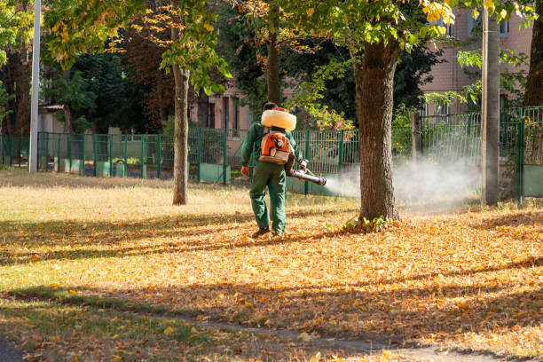 Professional Pest Control in Delmont, PA