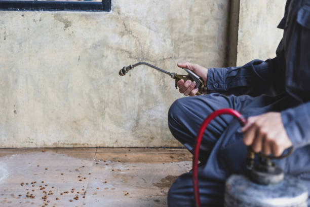 Best Affordable Exterminators  in Delmont, PA
