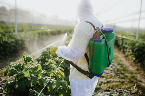 Wildlife Control Services in Delmont, PA